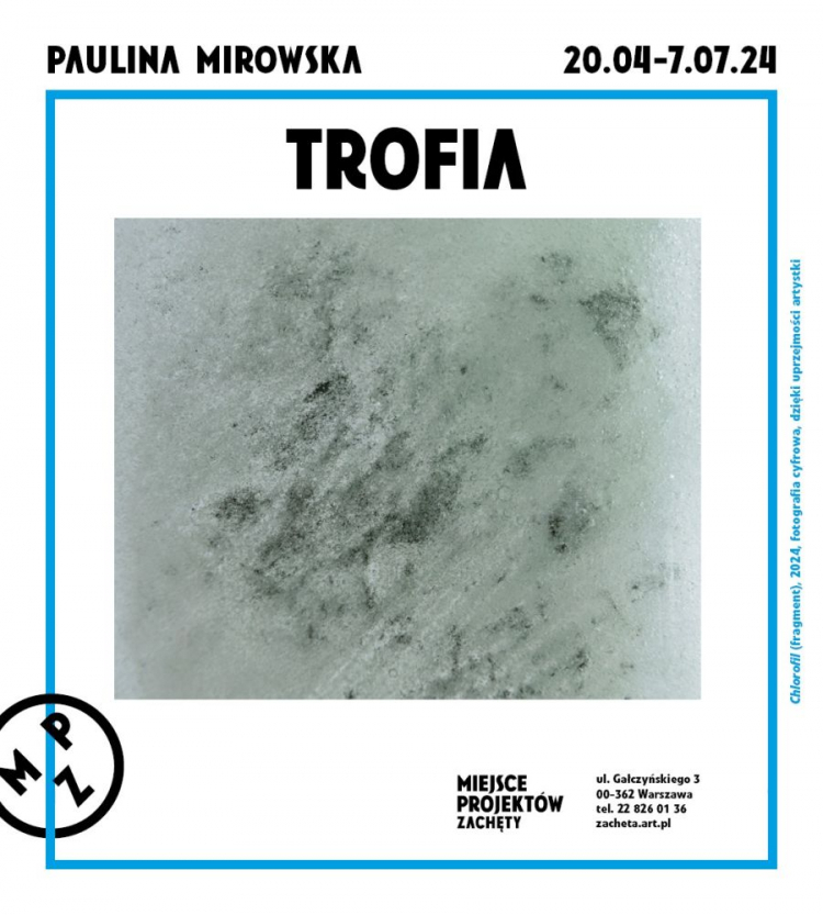 Wystawa „Trofia” w Miejscu Projektów Zachęty