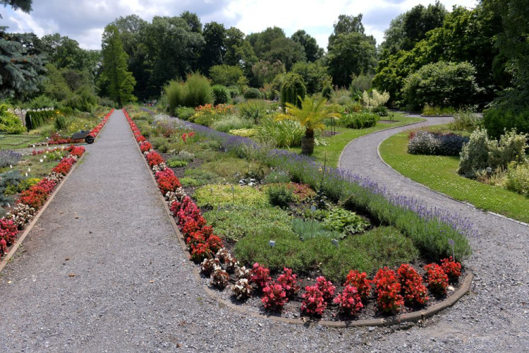 Ogród Botaniczny Uniwersytetu Jagiellońskiego w Krakowie. Fot. PAP/J. Bednarczyk