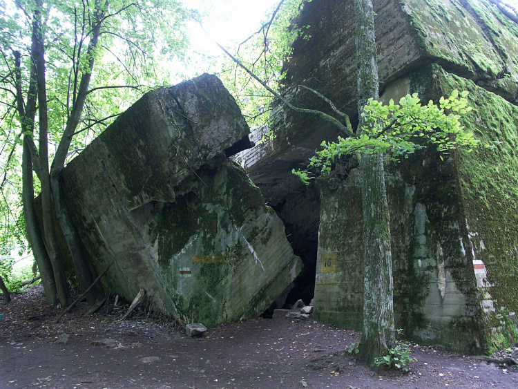 Schron przeciwlotniczy Hermanna Goringa w Gierłoży. Fot. PAP/M. Kaczyńska