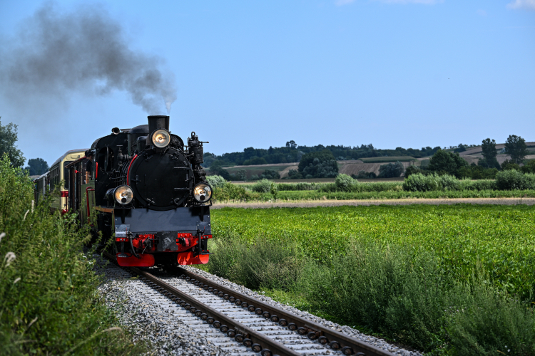 Zabytkowy parowóz Px48-1920 na stacji kolejki wąskotorowej w Łopuszce Wielkiej w 2023 r. Fot. PAP/D. Delmanowicz