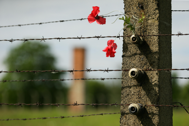 Ogrodzenie obozu Auschwitz. Fot. PAP/J. Praszkiewicz 