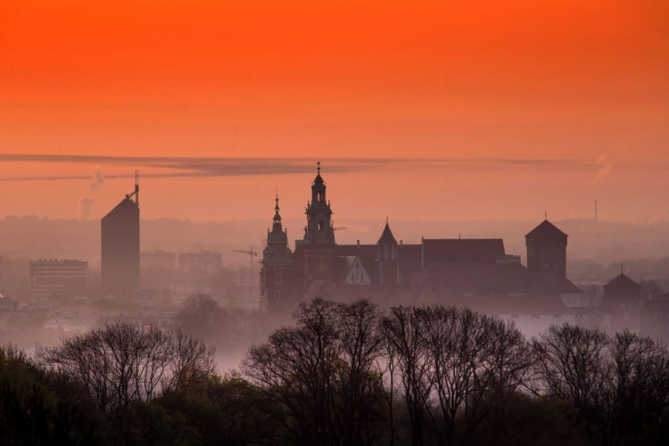 Wawel. Fot. PAP/Ł. Gągulski