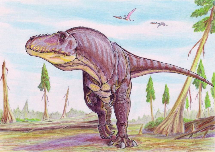 Tarbosaurus. Źródło: Wikipedia
