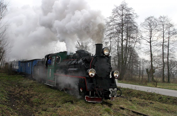 Ciuchcia "Ponidzie" w okolicach Hajdaszka (świętokrzyskie). 2004 r. Fot. PAP/P. Polak