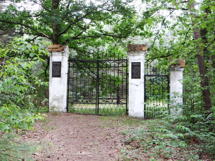 Cmentarz żydowski w Ulanowie. Fot. Zbigniew Czernik. Źródło: Wikimedia Commons
