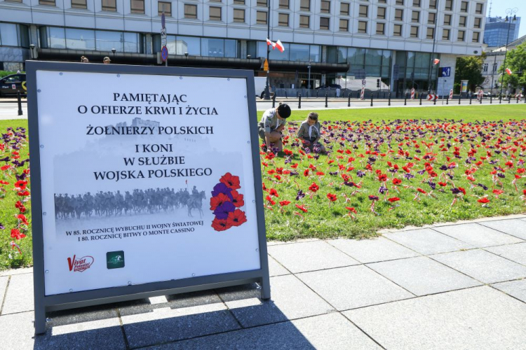 Harcerze podczas akcji „sadzenia” sztucznych maków na trawniku na pl. Piłsudskiego. Warszawa, 14.08.2024. Fot. PAP/S. Pulcyn