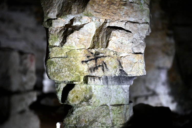 Muzeum Archeologicznego i Rezerwatu Krzemionki PAP/Piotr Polak