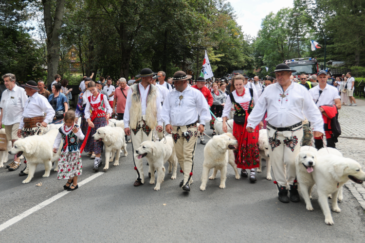 Korowód uczestników 55. Międzynarodowego Festiwalu Folkloru Ziem Górskich na ulicach Zakopanego. Fot. PAP/G. Momot