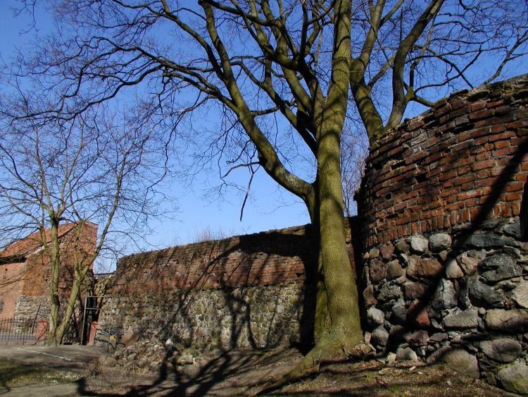 Fragment murów miejskich wraz z pozostałościami baszty w Nowym Mieście Lubawskim. Fot. Wikipedia.