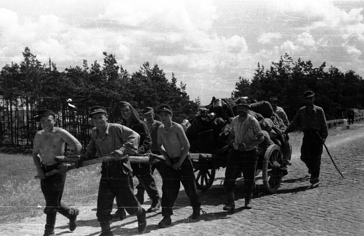 Sowieccy żołnierze ciągną wóz z zagrabionym majątkiem w Gdańsku. PAP/Władysław Forbert