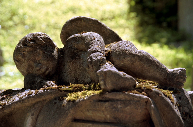 Fragment grobu na cmentarzu na wileńskiej Rossie. PAP/M.Petri