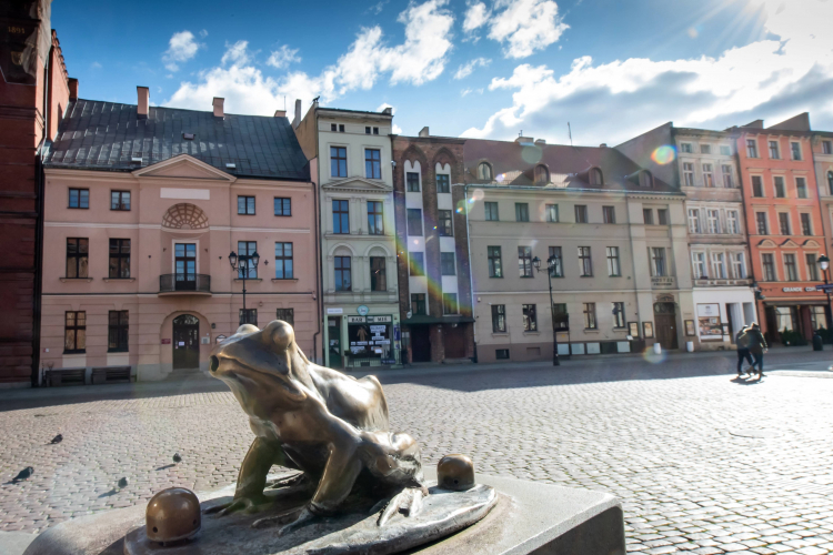 Pomnik Flisaka grającego na skrzypcach – żaba na Rynku Staromiejskim w Toruniu. Fot. PAP/T. Żmijewski