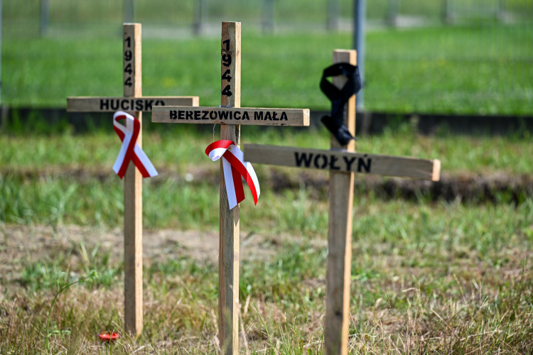 Drewniane krzyże upamiętniające Polaków zamordowanych na Wołyniu. PAP/Darek Delmanowicz