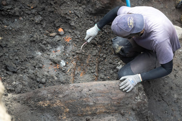 Prace archeologiczne– zdjęcie ilustracyjne. Fot. PAP/T. Żmijewski