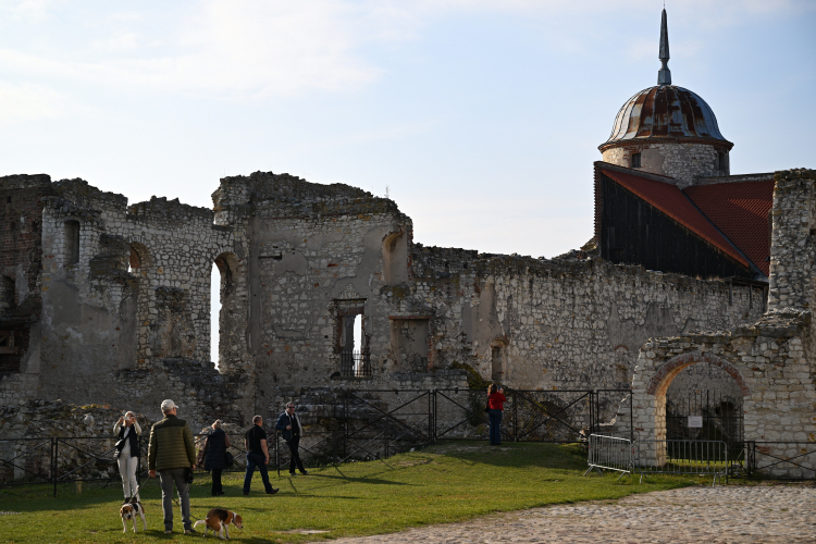 Zamek w Janowcu, fot. PAP/W. Jargiło
