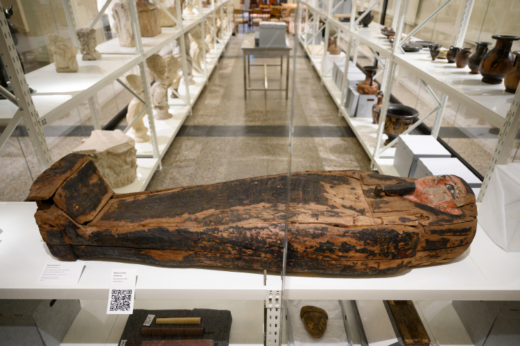 Galeria Sztuki Starożytnej w poznańskim Muzeum Narodowym, fot PAP/J. Kaczmarczyk
