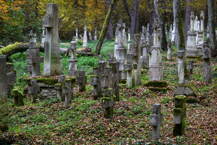 Greckokatolicki cmentarz w Starym Bruśnie. Fot. PAP/D. Delmanowicz