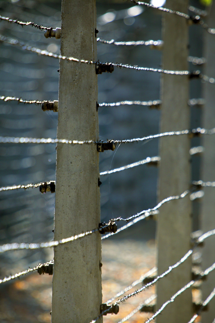 Auschwitz I. Fot. PAP/Jerzy Ochoński