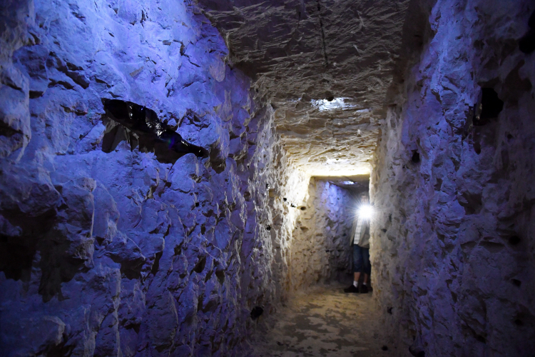 Muzeum archeologiczne i rezerwat „Krzemionki” w Krzemionkach pod Ostrowcem Świętokrzyskim. PAP/Piotr Polak