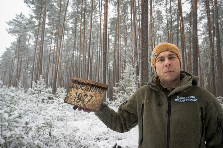 Pracownik WPK, odpowiedzialny za prowadzenie badań archeologicznych Mateusz Sosnowski z tabliczką Lasów Państwowych potwierdzającą rok nasadzenia drzew rosnących w obrębie odkrytego obozu partyzantów Armii Krajowej na terenie Wdeckiego Parku Krajobrazowego w Lipinkach, 11 bm. Obozowisko oddziału "Świerki 101" znajduje się przy północnej granicy województwa nad rzeką Sobińska Struga. PAP/Tytus Żmijewski