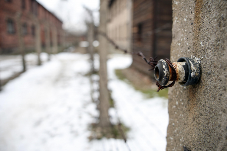 KL Auschwitz-Birkenau. PAP/Łukasz Gągulski
