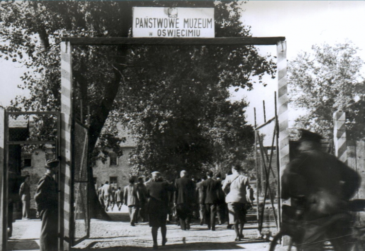 Fot. /Źródło: Muzeum Auschwitz-Birkenau