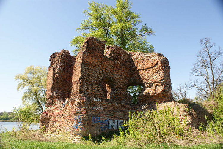 Ruiny zamku w Złotorii koło Torunia, fot. domena publiczna