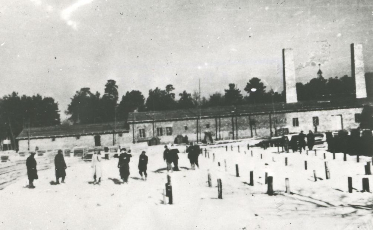Źródło: Muzeum Auschwitz