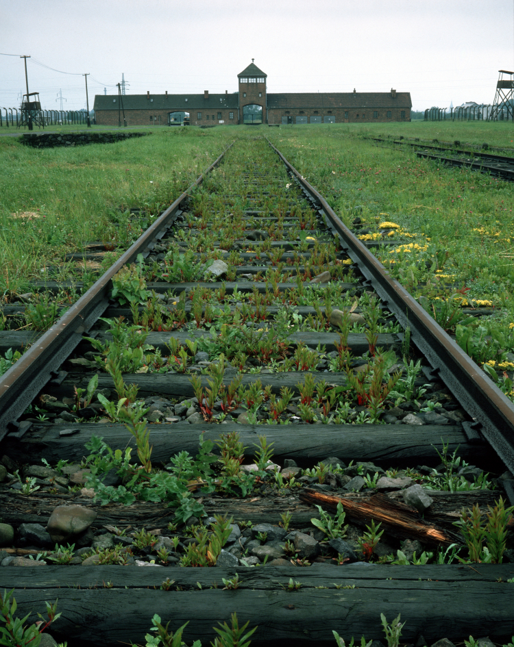 Dawny hitlerowski obóz koncentracyjny Auschwitz-Birkenau, fot. PAP/Jan Morek