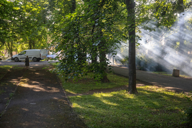 Park Bronowicki latem. Fot. PAP/Wojtek Jargiło