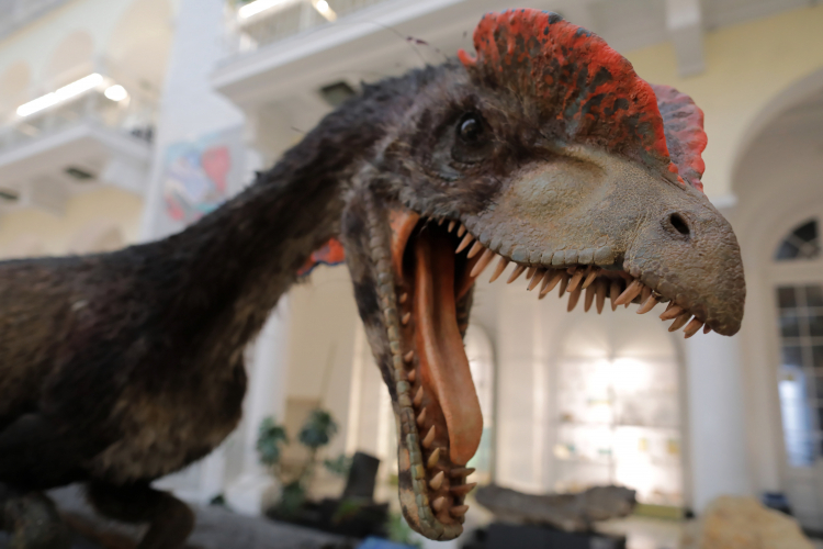 Muzeum Geologiczne PIG-PIB w Warszawie. Fot. PAP/Albert Zawada
