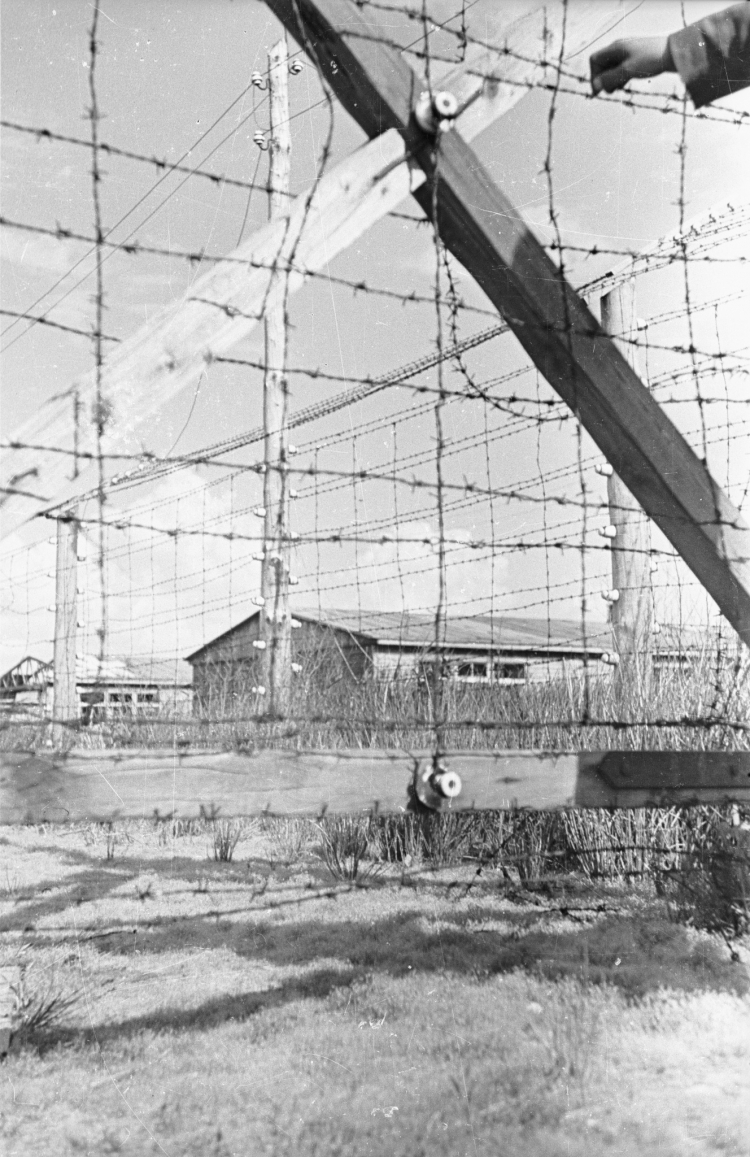 Były obóz koncentracyjny KL Stutthof. Nz. ogrodzenie obozu koncentracyjnego, w tle baraki obozowe, maj 1946 r. PAP/Mikołaj Sprudin