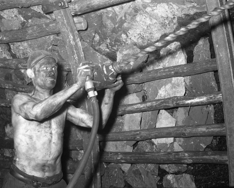 Górnik Jan Tyrajski fedruje w kopalni „Sośnica”, 1950 r. /CAF