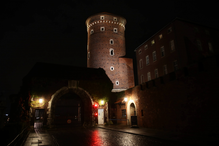 Zamek Królewski na Wawelu nocą. PAP/Łukasz Gągulski