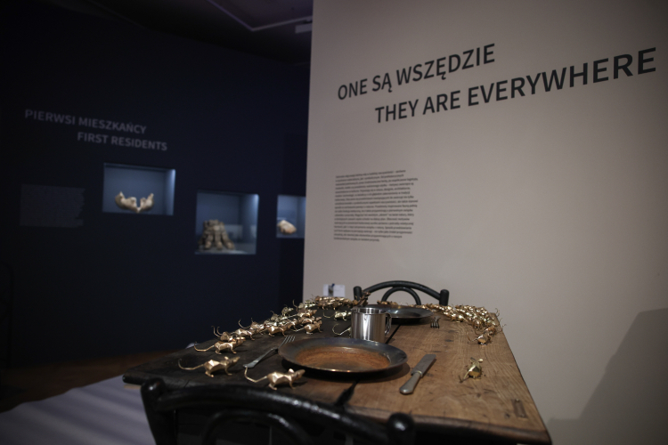 Wystawa „Miasto zwierząt” jest dostępna dla publiczności od 30 maja do 26 października. Fot. PAP/Łukasz Gągulski