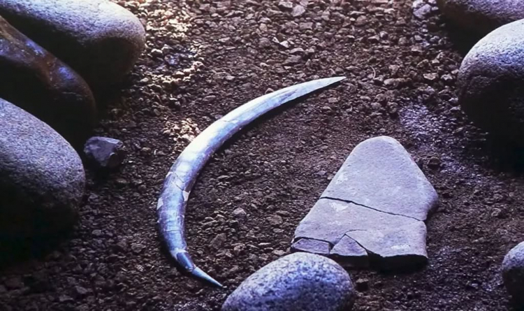 Źródło: Facebook/Instytut Archeologii Uniwersytetu Jagiellońskiego