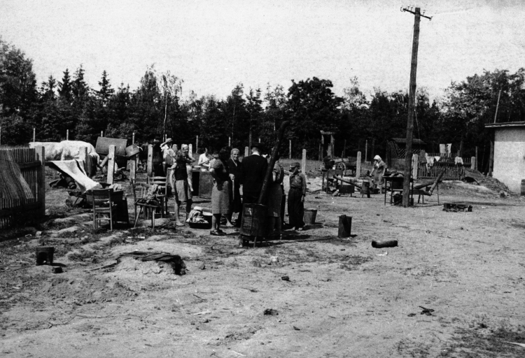 Wałcz, 1946 r. Osadnicy ze Wschodu obejmują nowe gospodarstwa. PAP/CAF/Polpress
