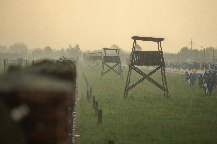 Teren byłego obozu Auschwitz-Birkenau. Fot. PAP/Jarek Praszkiewicz