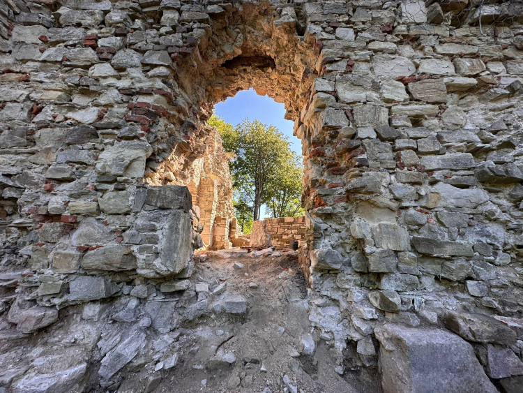 Fragment oczyszczonego muru zamku Sobień. Fot. RDLP w Krośnie