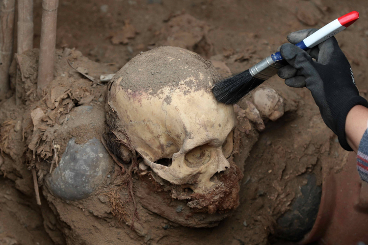 Widok ludzkiej czaszki znalezionej podczas wykopalisk archeologicznych z okresu prekolumbijskiego w dystrykcie Puente Piedra w Limie w Peru, 31 lipca 2025 r. Prace instalacyjne gazociągu w północnej Limie odsłoniły nowe miejsce pochówku z okresu prekolumbijskiego, datowane na ponad tysiąc lat, pochodzące z kultury Chancay z czasów preinkaskich. To drugie tego typu miejsce w ciągu niecałych dwóch miesięcy. Fot. EPA/PAOLO AGUILAR Źródło: PAP/EPA