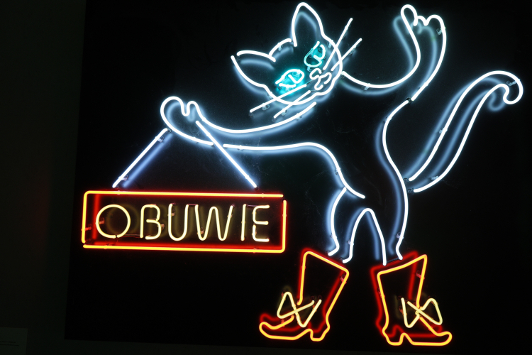 Muzeum Neonów przeniosło się z Kamionka do centrum Warszawy. Fot. PAP/Paweł Supernak