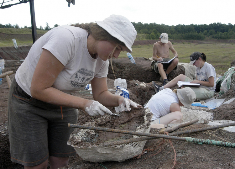 Obóz archeologiczny studentów Uniwersytetu Opolskiego w nieczynnej kopalni iłów w Krasiejowie. Rok 2005. Katarzyna Lech pracuje przy zabezpieczonej gipsem czaszce metopozaura sprzed 230 milionów lat. Fot. PAP/Krzysztof Świderski 