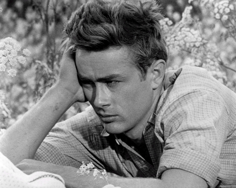 James Dean. Fot. PAP/EPA/Handout