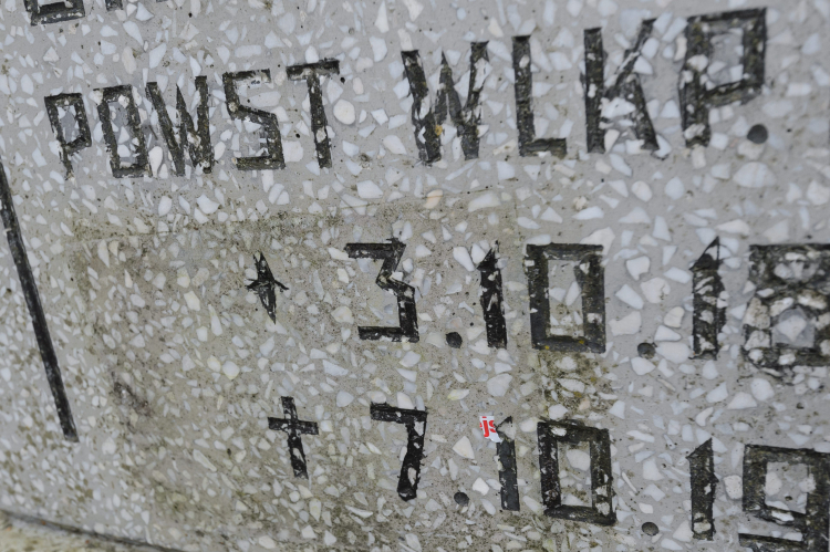 Nagrobek Powstańca Wielkopolskiego i Śląskiego. Fot. PAP/Jakub Kaczmarczyk