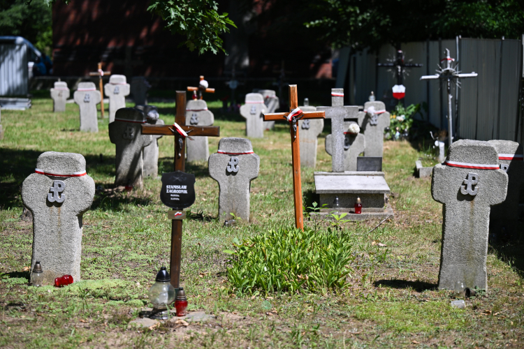 Cmentarz Osobowicki we Wrocławiu, gdzie w latach 1948-1956 chowano osoby stracone lub które zmarły we wrocławskich więzieniach. Fot. PAP/Maciej Kulczyński