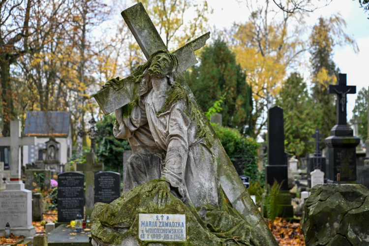 Stare Powązki w Warszawie. Fot. PAP/Darek Delmanowicz