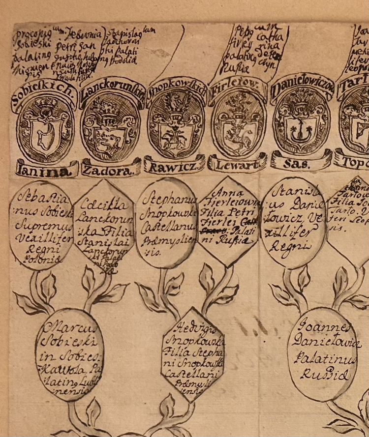 Dokument zawierając wywód przodków Teresy Kunegundy Sobieskiej. Źródło: Archiwum Państwowe