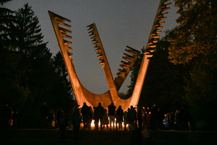 Cmentarz Centralny w Szczecinie. Fot. PAP/Marcin Bielecki