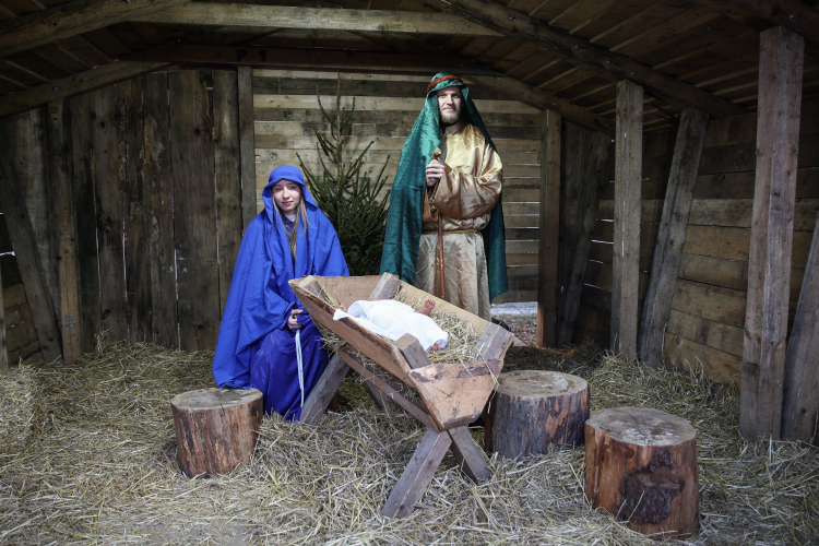 Żywa szopka bożonarodzeniowa u franciszkanów w Krakowie. Fot. PAP/Łukasz Gągulski