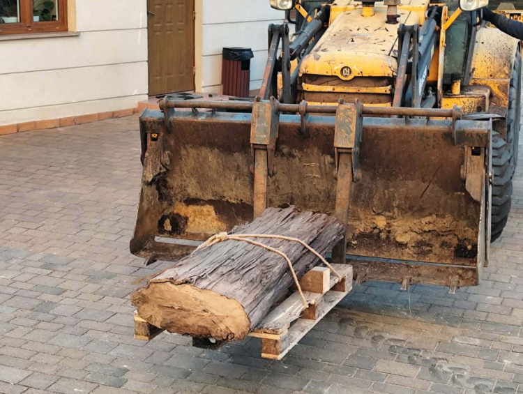 Fot. Muzeum Okręgowe w Koninie